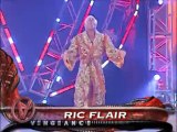 Ric Flair vs Mick Foley - Vengeance 2006