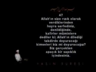 Fatih Çollak (Yasin Suresi)