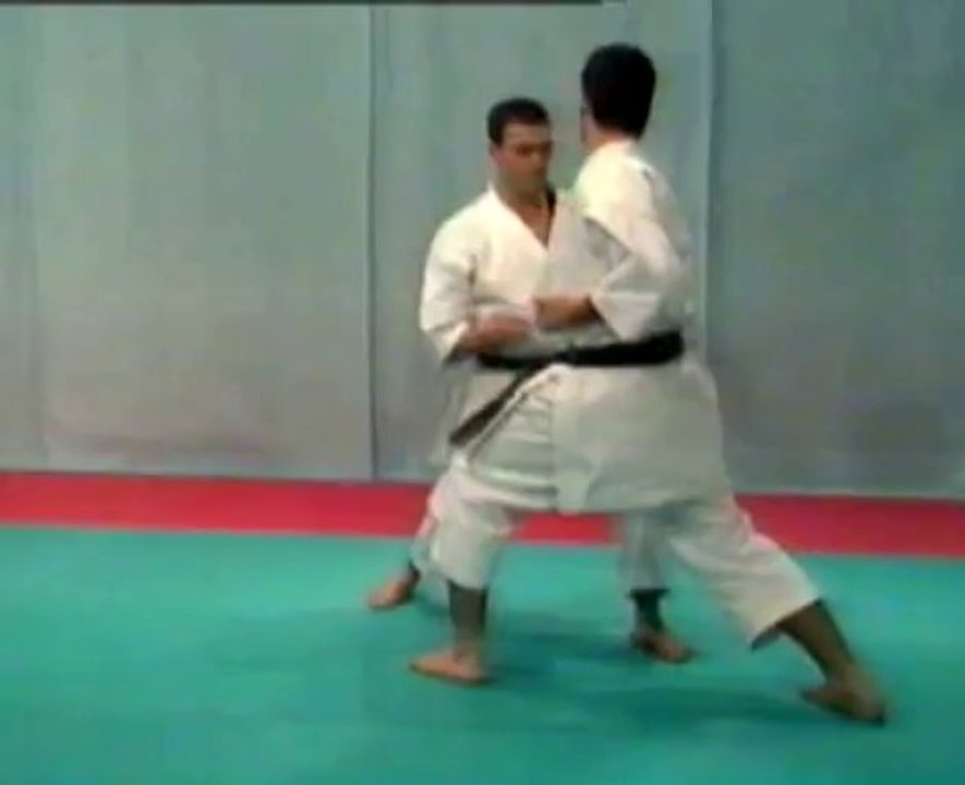 Kata Shotokan & Bunkai - 03 - Heian Sandan