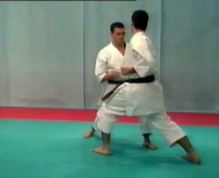 Kata Shotokan & Bunkai - 03 - Heian Sandan
