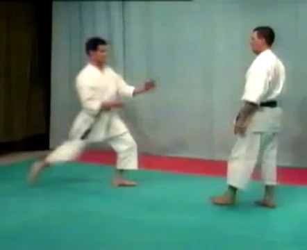 Kata Shotokan & Bunkai - 04 - Heian Yondan