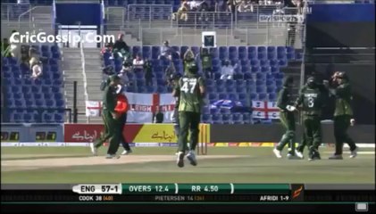 Shahid Afridi Bowled Out To Kevin Peterson