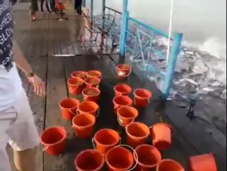Funny Videos - Crazy Fish Feeding  Facebook