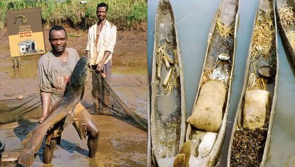 201111_IRD_Poissons d'Afrique et peuples de l'eau