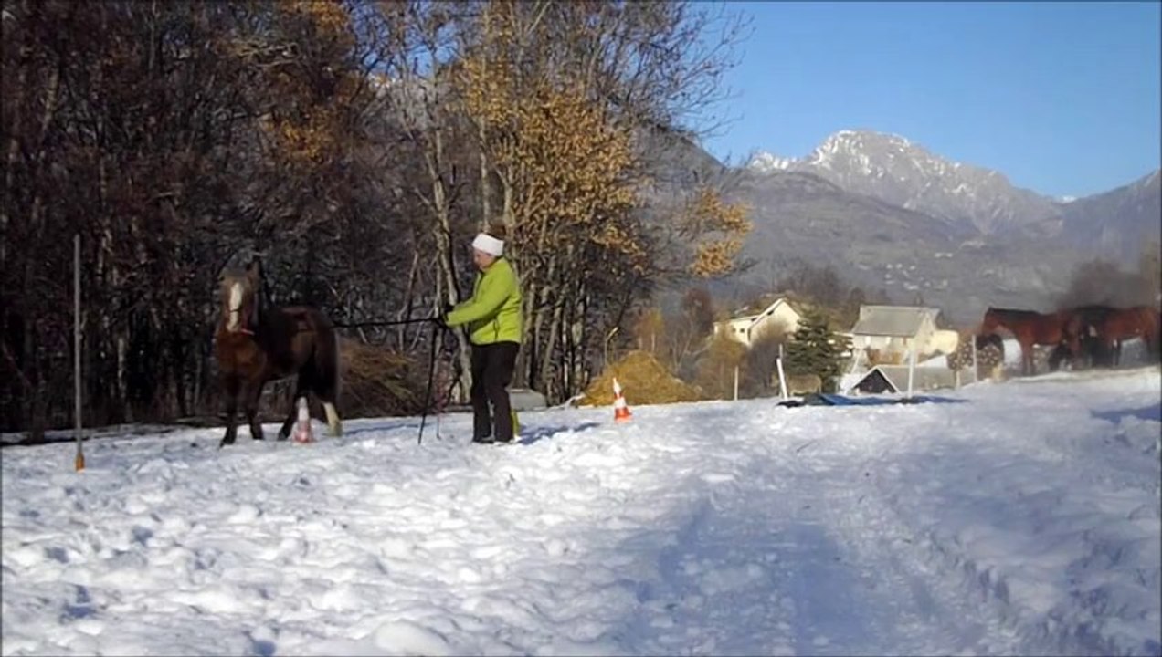 Entrainement equifeel