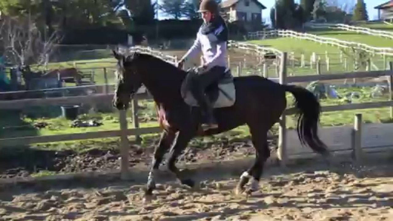 Romane 07-12-13 (3)