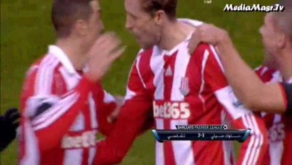 ستوك سيتي 3-2 تشيلسي - الأسبوع 15 - 7/12/2013