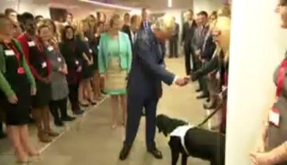 Rod Stewart keeps Prince of Wales waiting - Telegraph