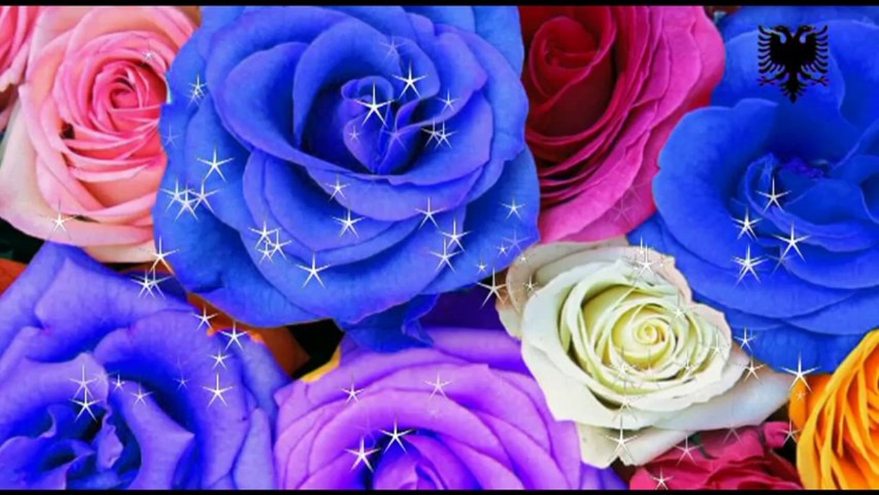 Skender Xhafa-Molle e kuqe molle verore (Official Video)