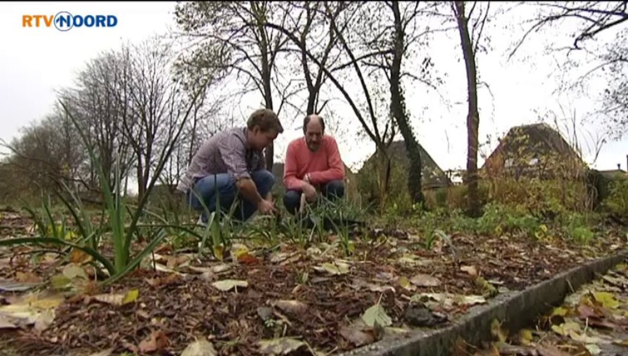 Goud bezig! [7-12-2013] - RTV Noord