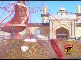 Hussain Jan, Saleem Raza Nagari 2013-14