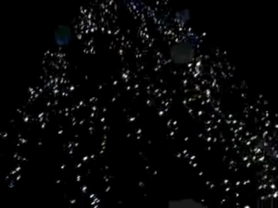 Sapin de Noël 2013 a Carpentras