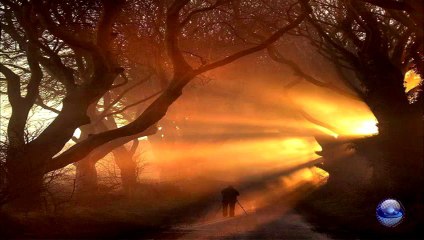 The lonely bull - Herb Alpert