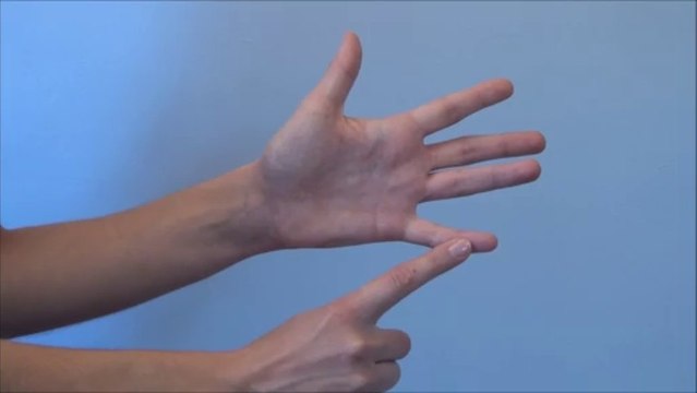 Le petit rat est passé par là