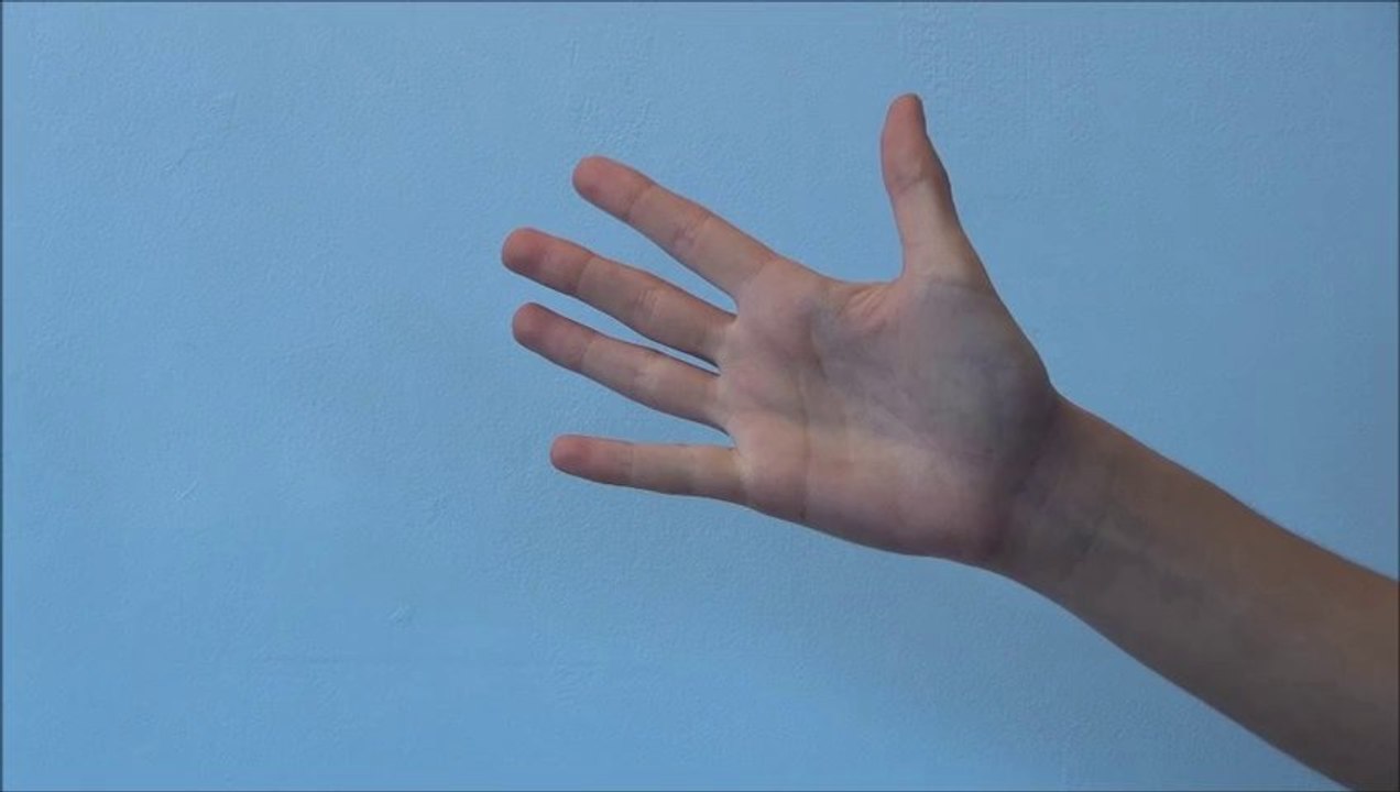 Monsieur Pouce part en voyage