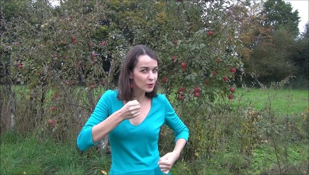 Pomme de reinette et pomme d api