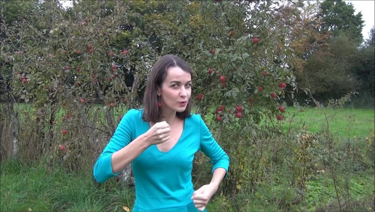 Pomme de reinette et pomme d api