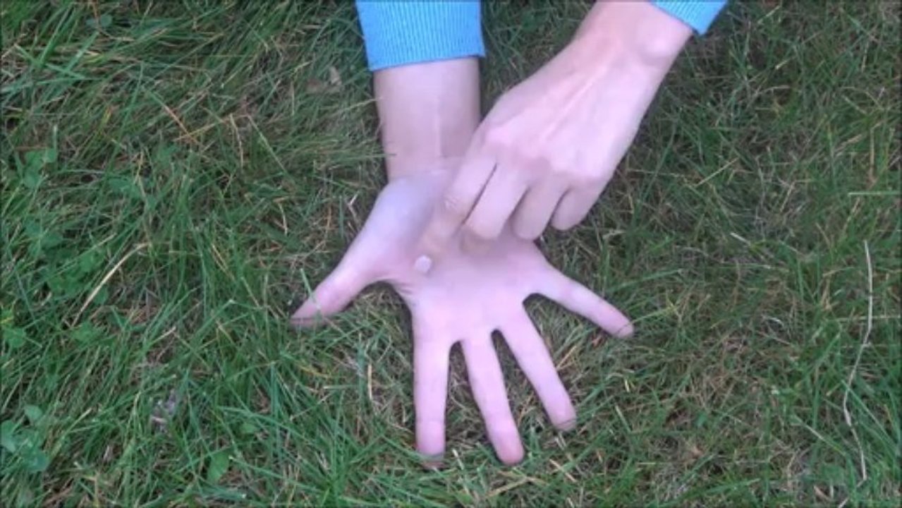 Dans un jardin tout rond tout rond