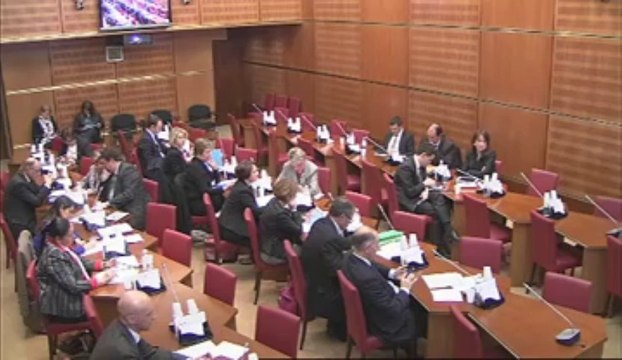 Audition de Mme Valérie Fourneyron, ministre des sports - Mercredi 27 Mars 2013
