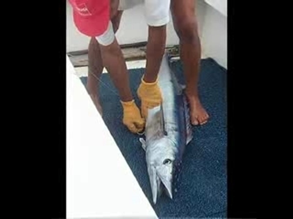 ragga,ile de la reunion