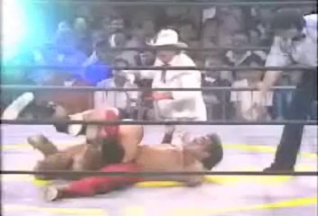 Stunning Steve Austin vs The Great Muta-WCW US Title (2)