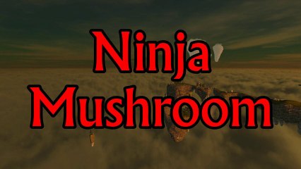NinjaMushroom Intro