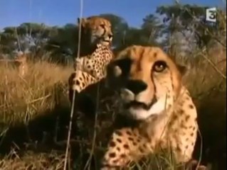 watch carefuly Really Most Daring Woman