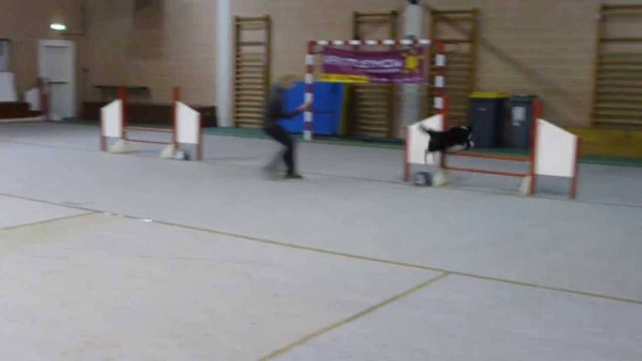 Jumping + Chelsea