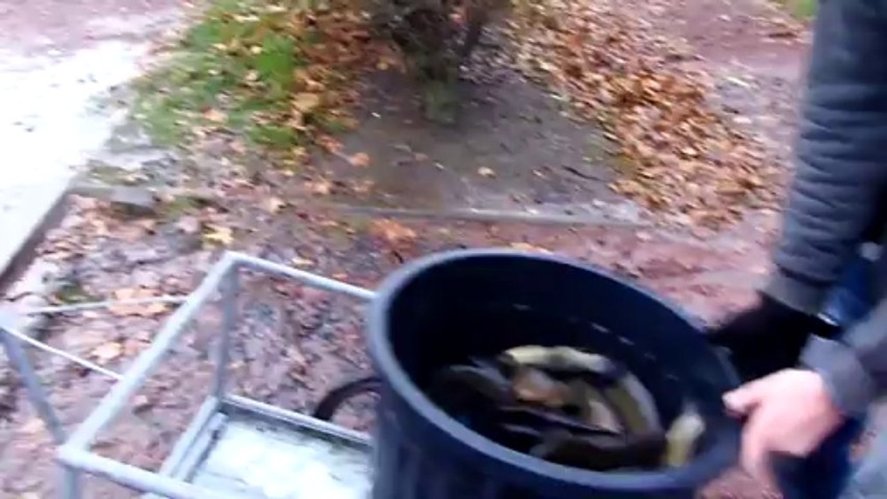 2013-12-07 rempoissonnement (2)
