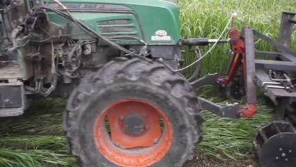 Couchage couvert végétal