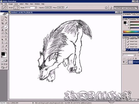 Drawing with a Wacom Tablet