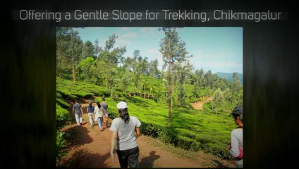 Trekking in Bangalore