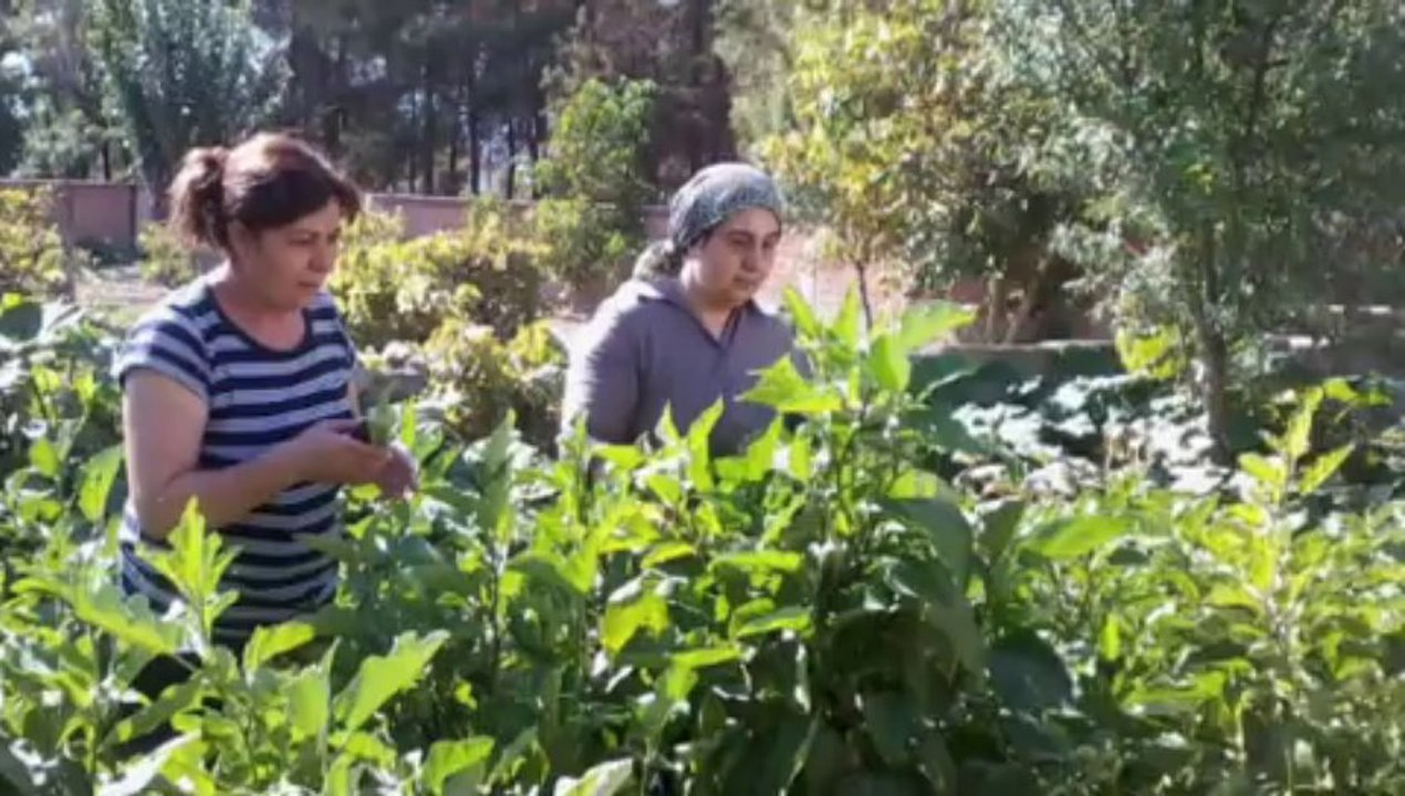 ASIN BENİ HAKİM BEY..AYSEL ŞENEL VİDEOSU