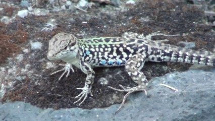 Very Bike Trip - partie 3