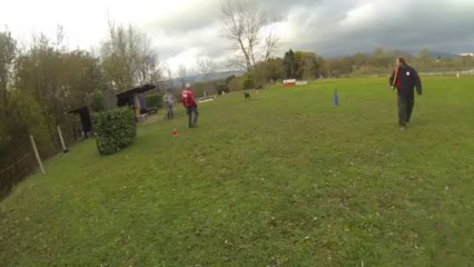 Hobby Face: Discover Your Passion 😊