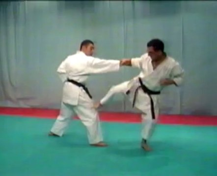 Kata Shotokan & Bunkai - 06 - Tekki Shodan