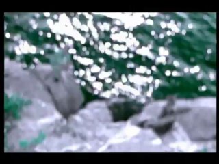 Colonia - Deja Vu Spot