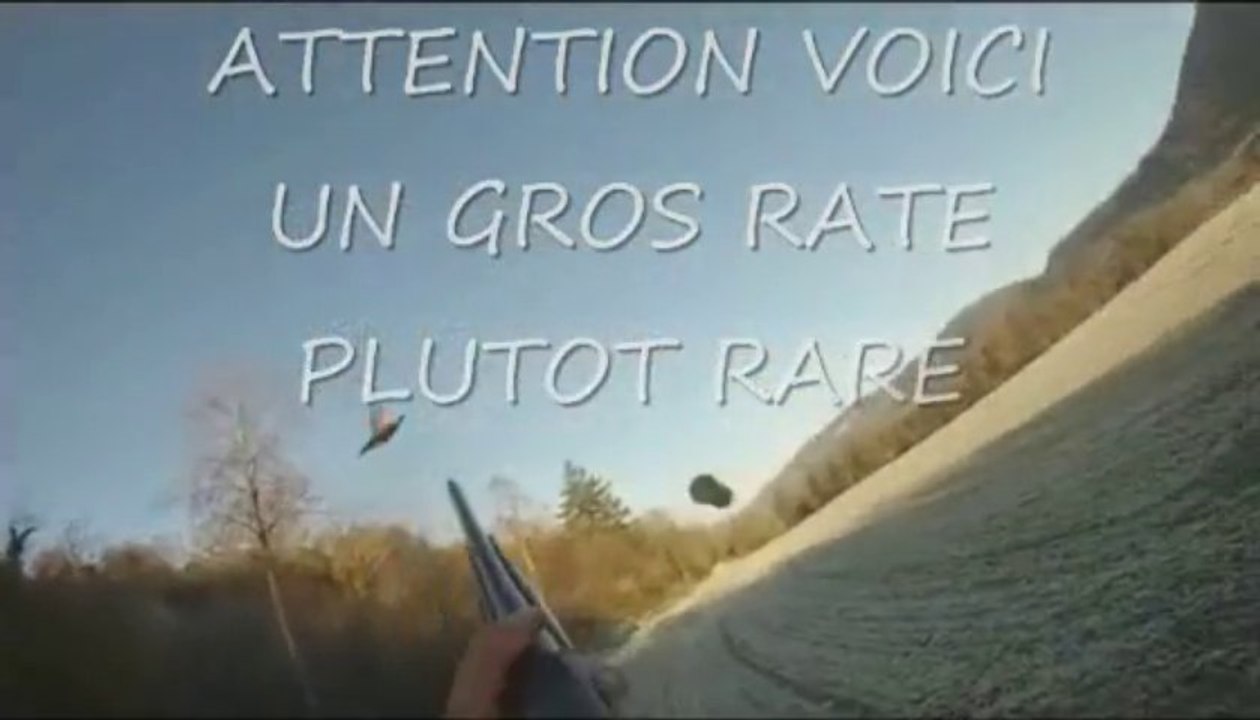 BAHIA ET EMERAUDE A LA CHASSE