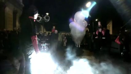 Fête des Lumières 2013 - Le Rêve d’Herbert