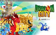 How to Hack Dragon city [ Gold, Food, Gems ,XP, Dragon] 2013 updated