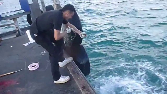 Pêche à la ligne d'un gros poisson