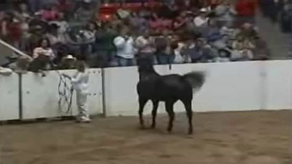 Stacy Westfall's Championship Run 2006 (Feel Good Video)