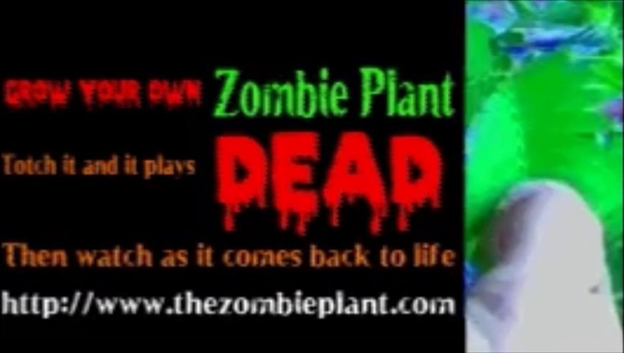 Zombie Plant - Plays DEAD then comes back to LIFE!