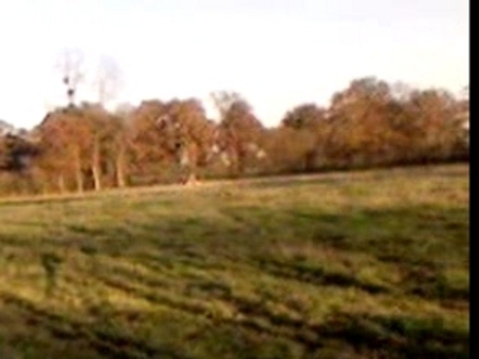 buggy course rally