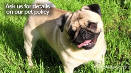 The Elms Apartments in Sacramento, CA - ForRent.com