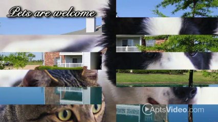 Azalea Ridge Apartments in Walls, MS - ForRent.com