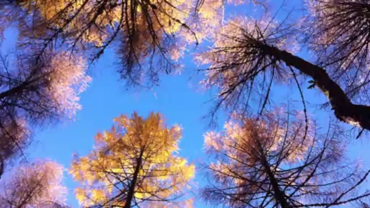 Instant nature