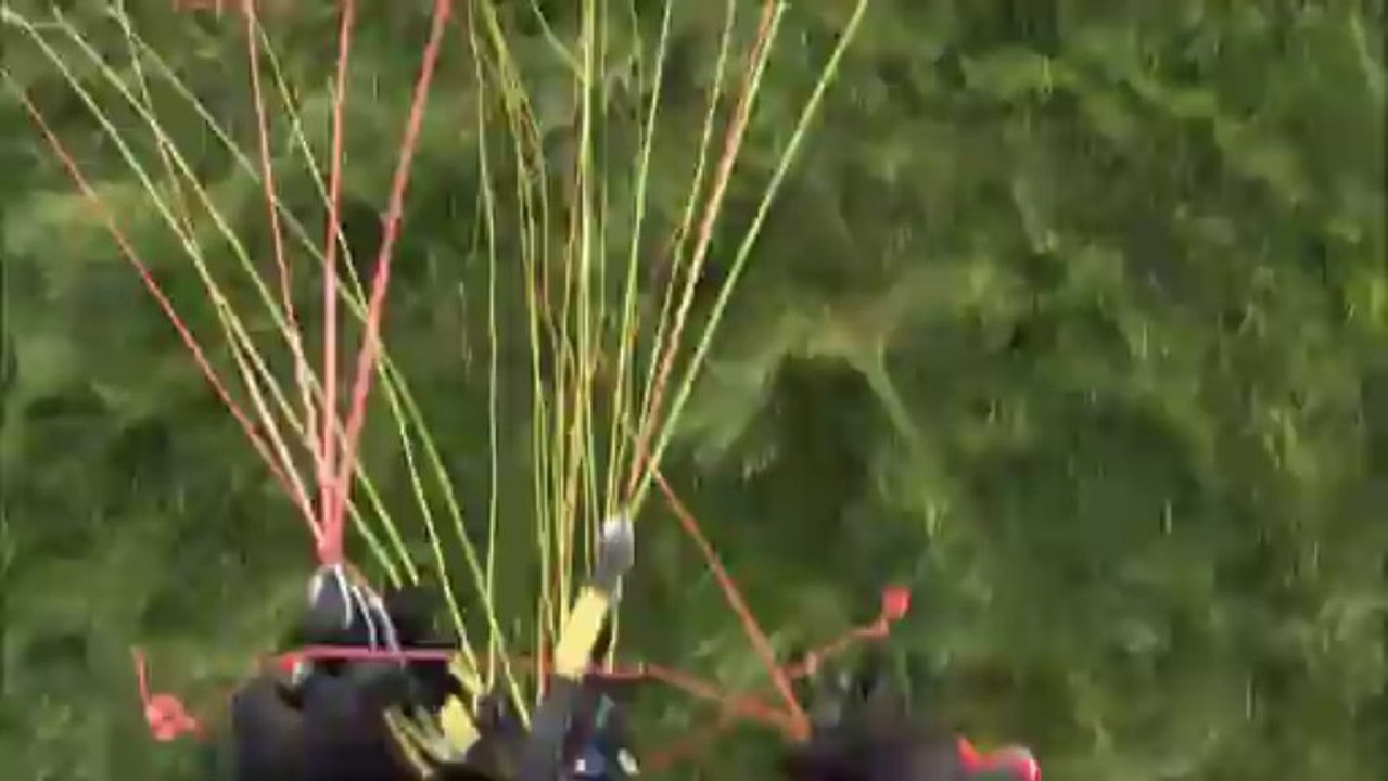 2 zaak formation para