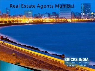 Bricks India