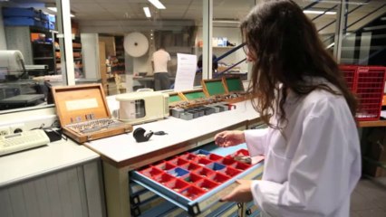 Trophée de l'alternance remis à ESTEVE (31)